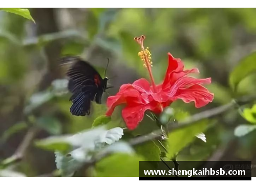 emc易倍体育蝶恋花，蜂采蜜：畅游繁花似锦的多情季